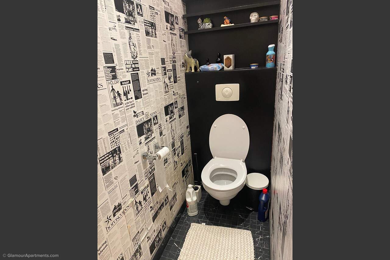 The toilet